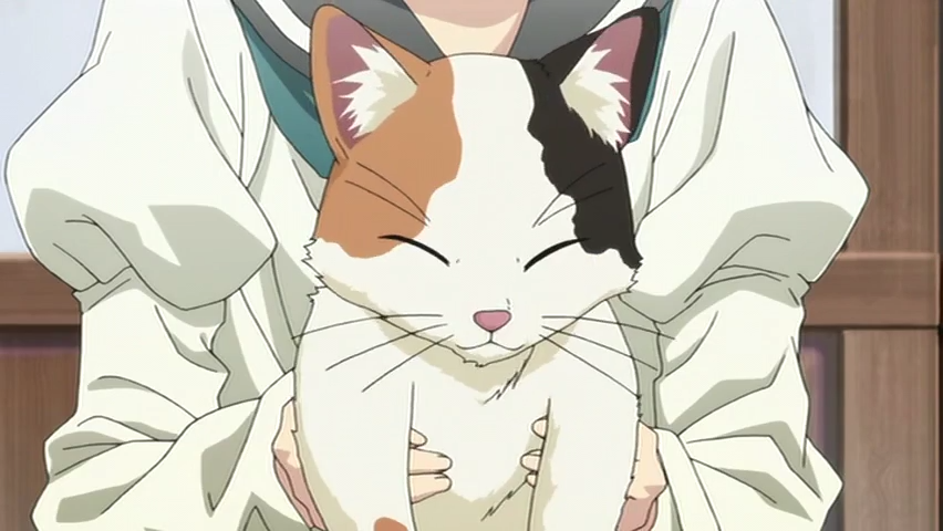 Каштан мечты (2012)