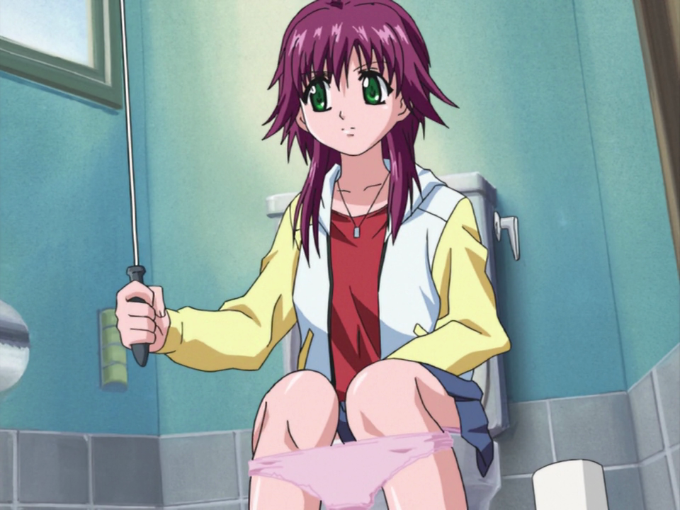 Развесёлый час Акахори (2005)