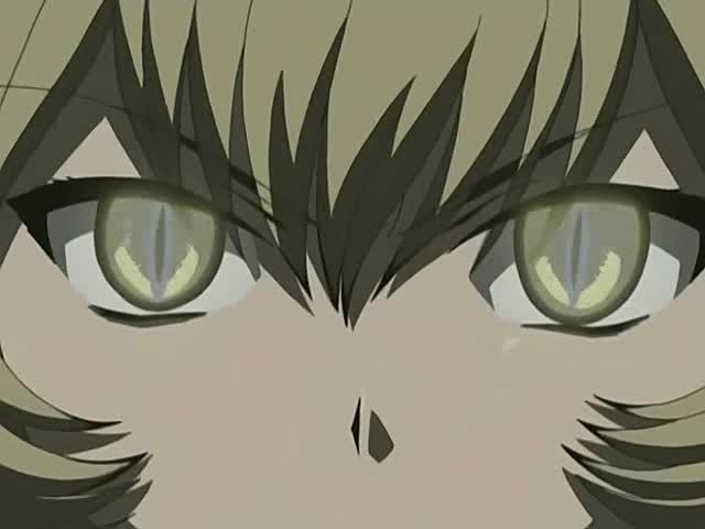 Мэджикано (2006)