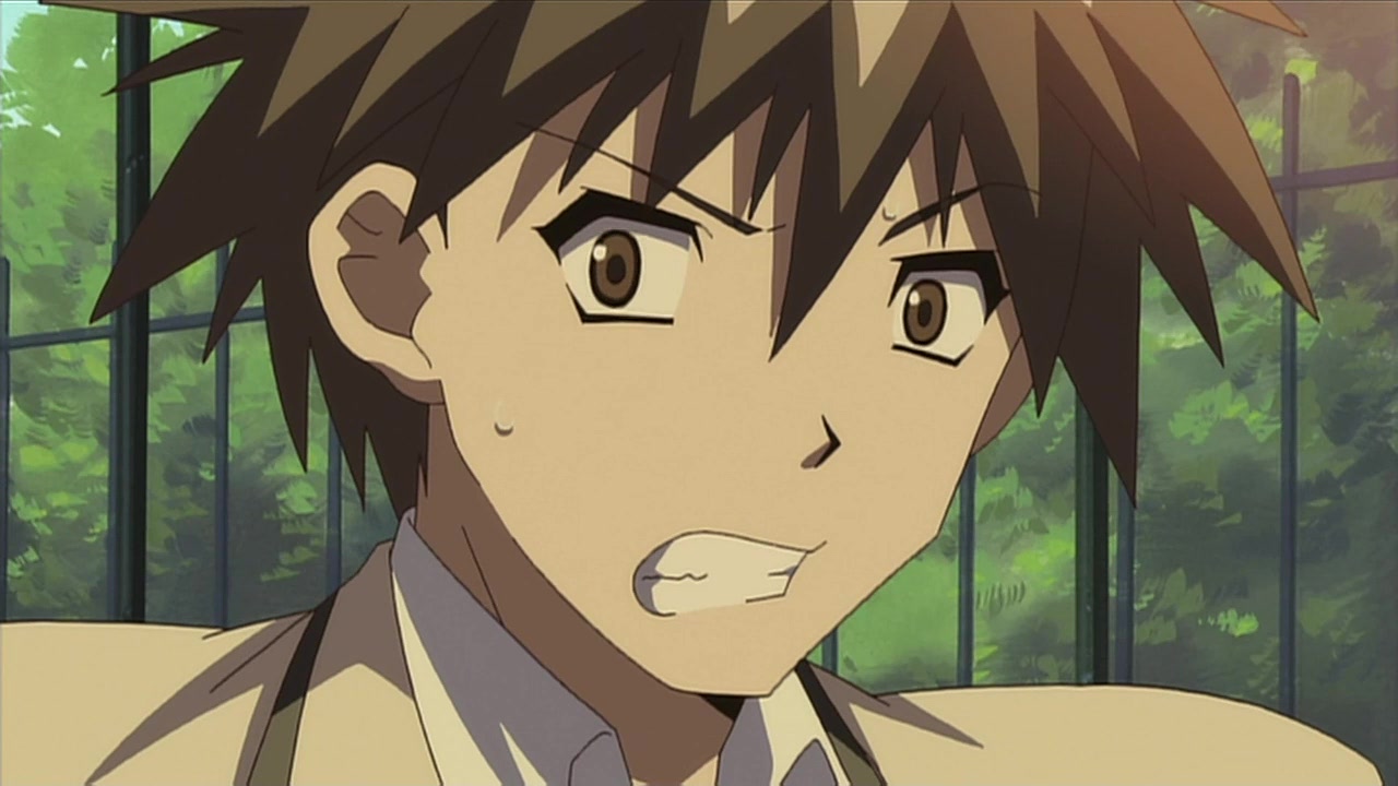 Акикан! (2009)