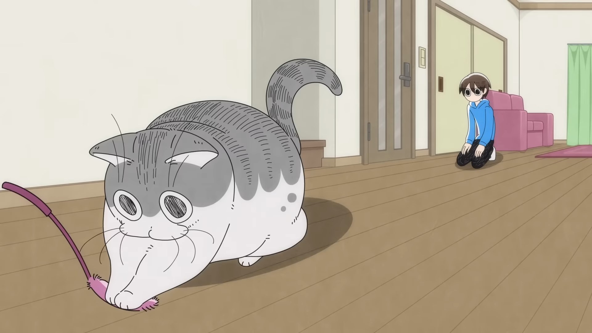 Вечера с котом (2022)