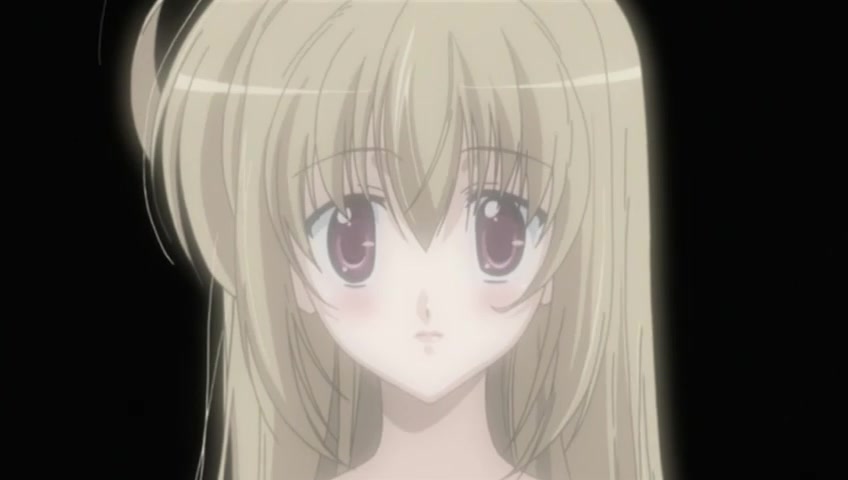 Девушка влюбилась в старшую сестру (2006)