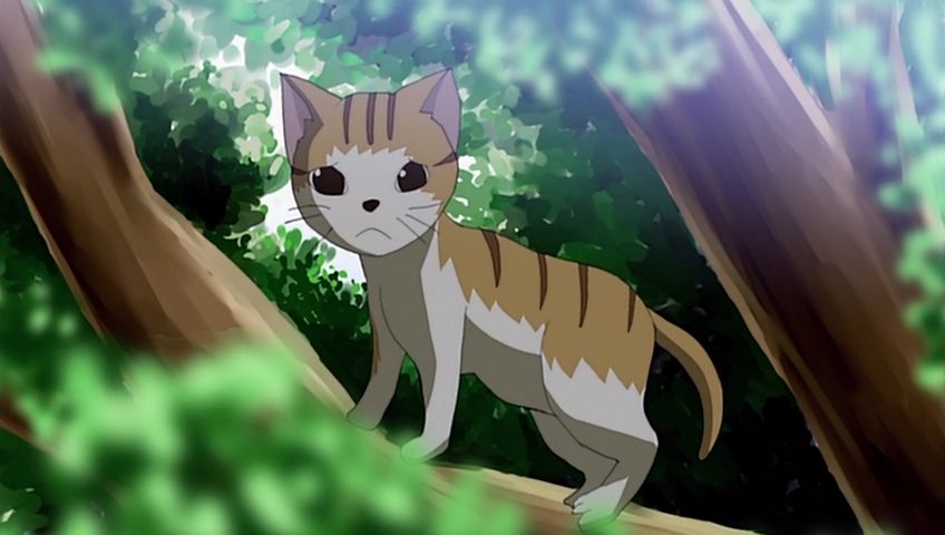 Сцепленные звёздочки (2010)