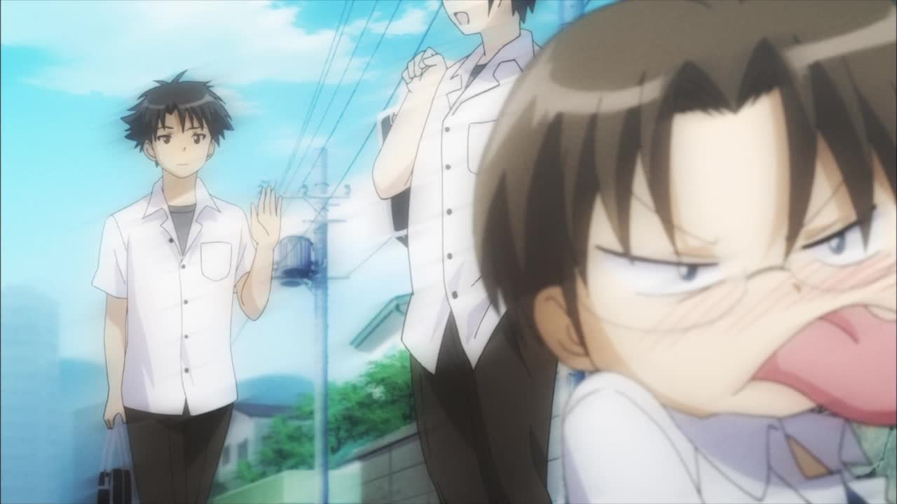 Нашествие бродячих кошек! (2010)