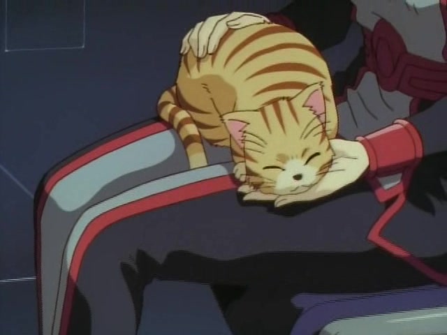 Звёздный флаг (2000)