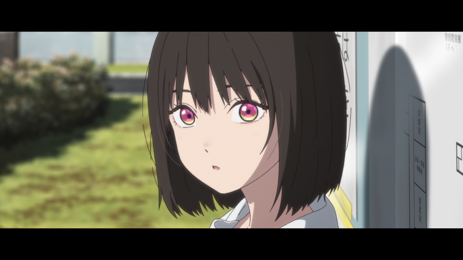 Маленький гражданин (2024)