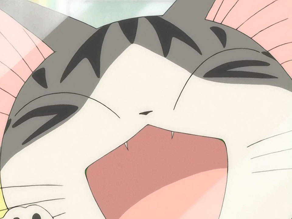 Новый дом Чии (2009)