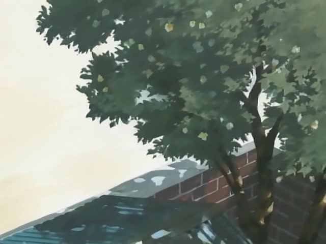 Абсолютный парень (2005)