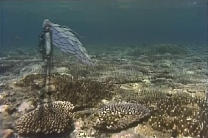 Беттермен (1999)