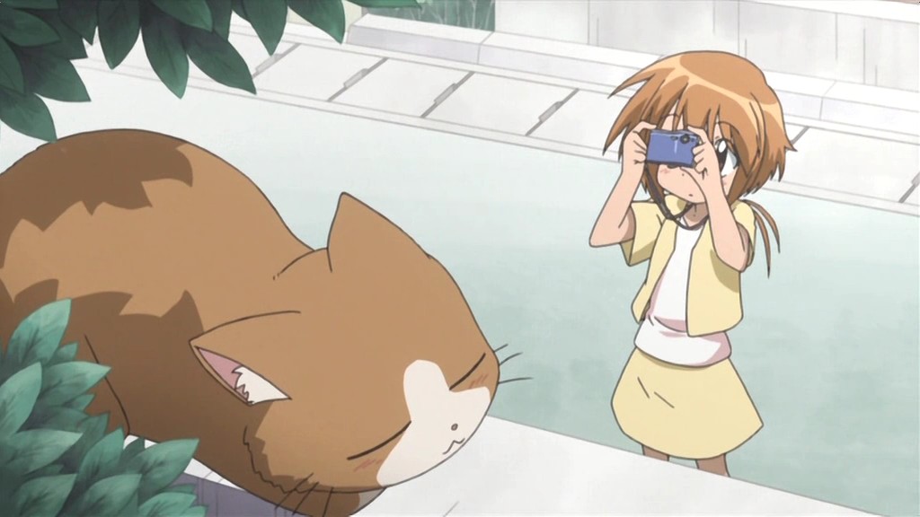 Альбом рисунков (2007)