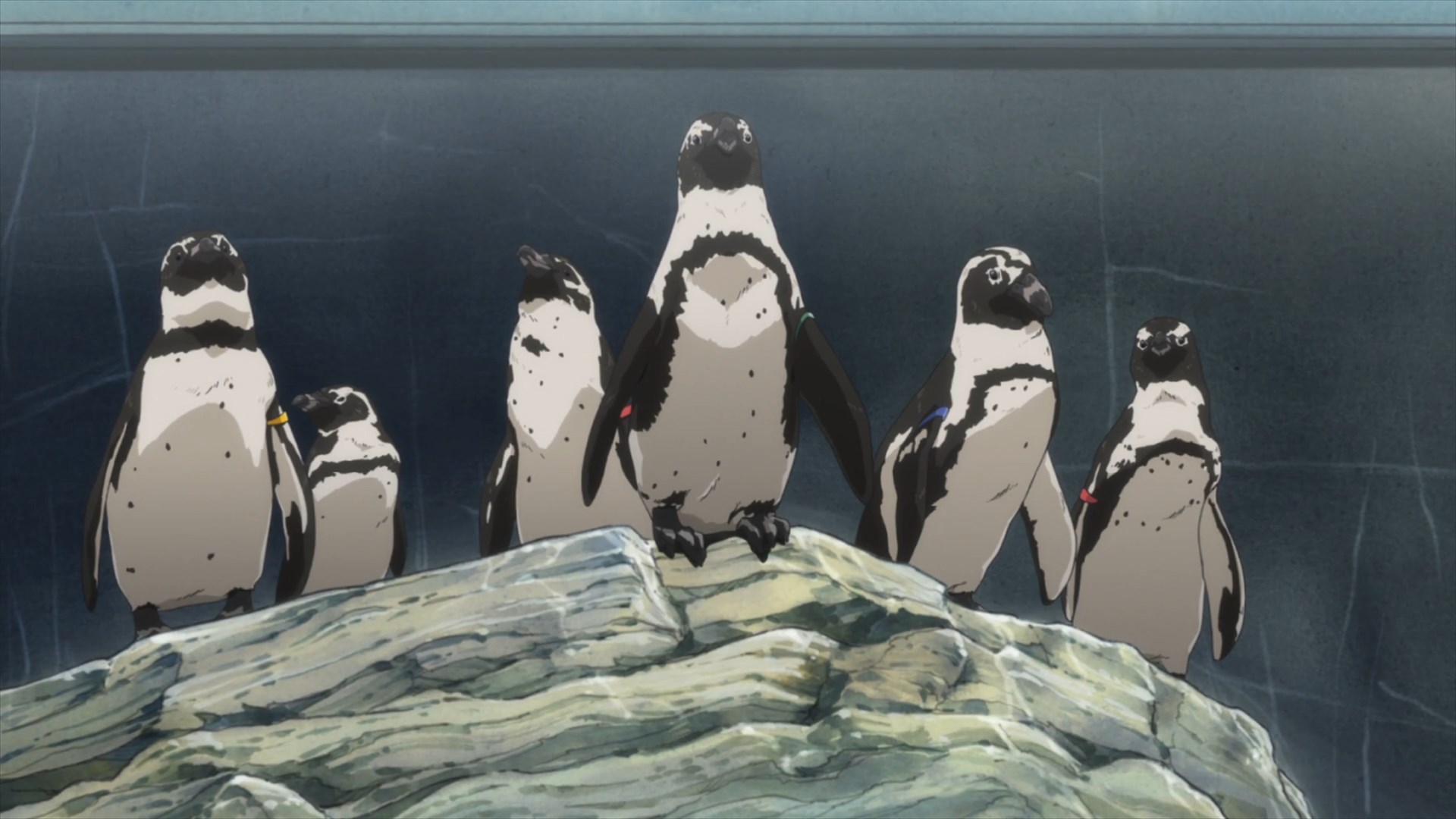 Пингвиний барабан. Фильм 1 (2022)