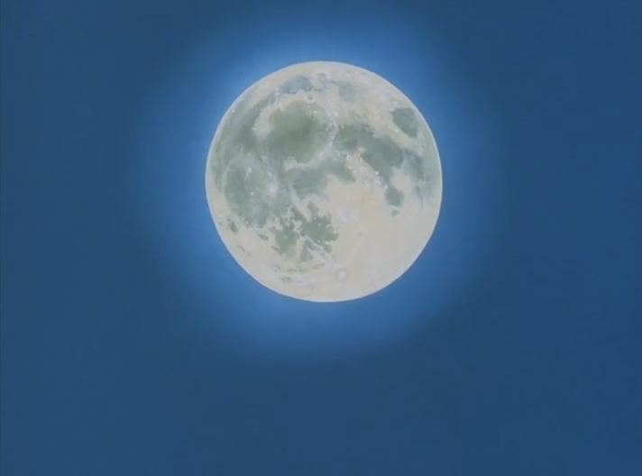 Био-охотник (1995)