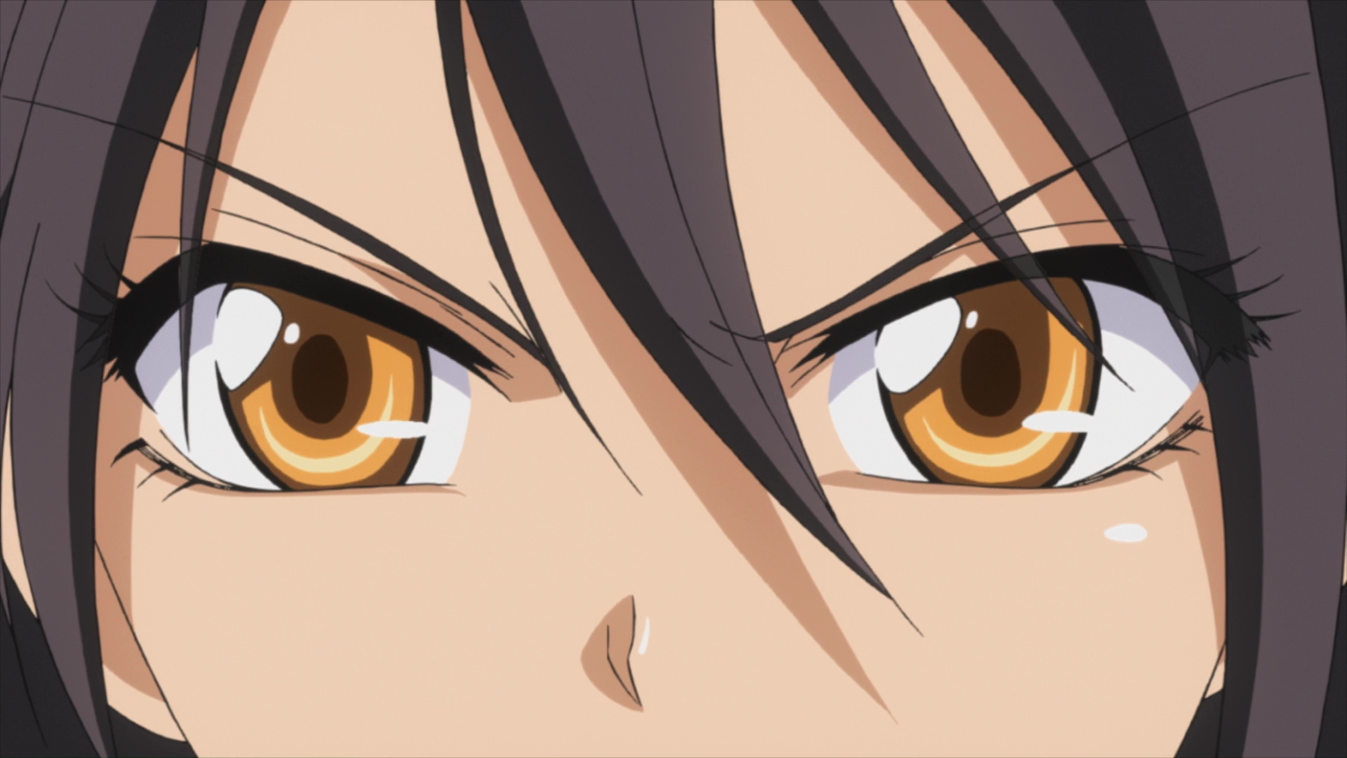 Президент – горничная! (2010)