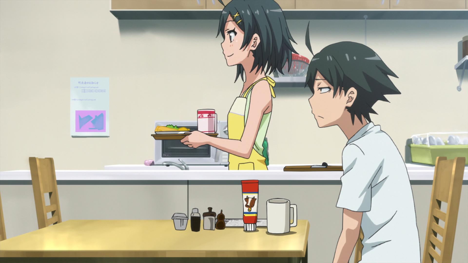 Как и ожидалось, моя школьная романтическая жизнь не удалась OVA (2013)