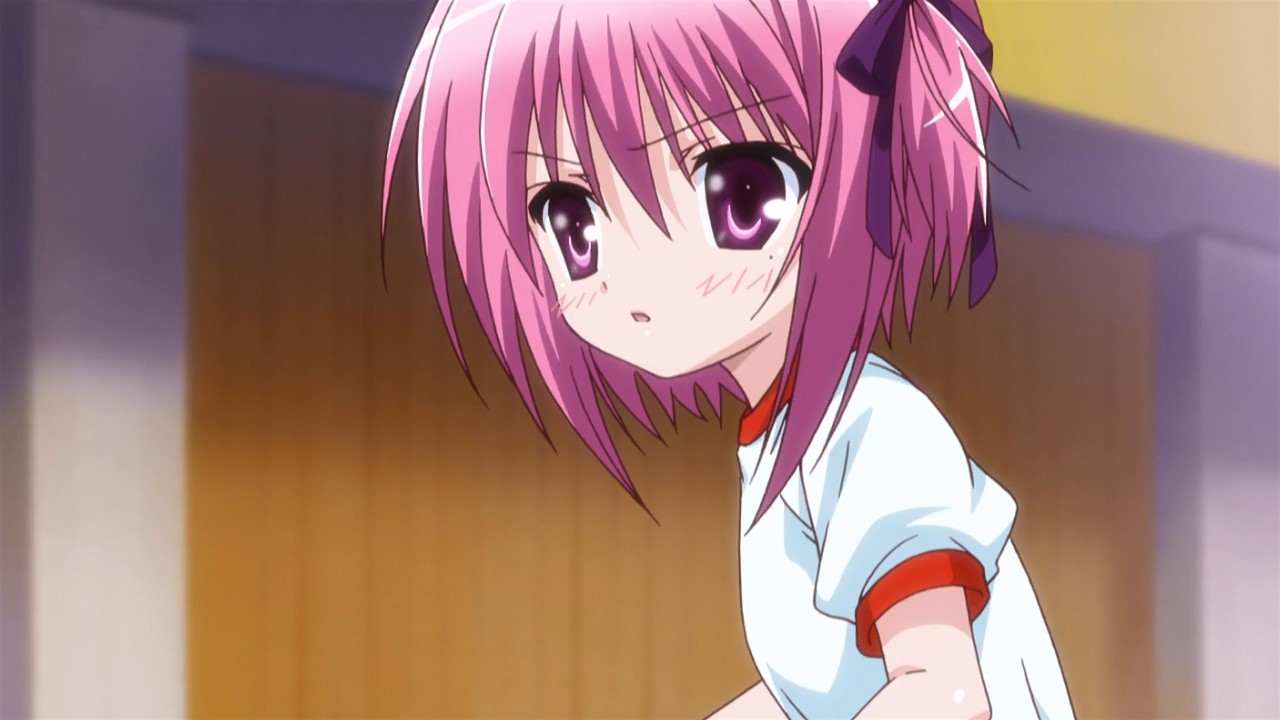 Бас-кет-бол! (2011)