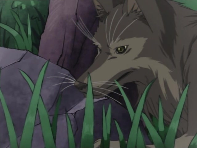 Магический Покан (2006)