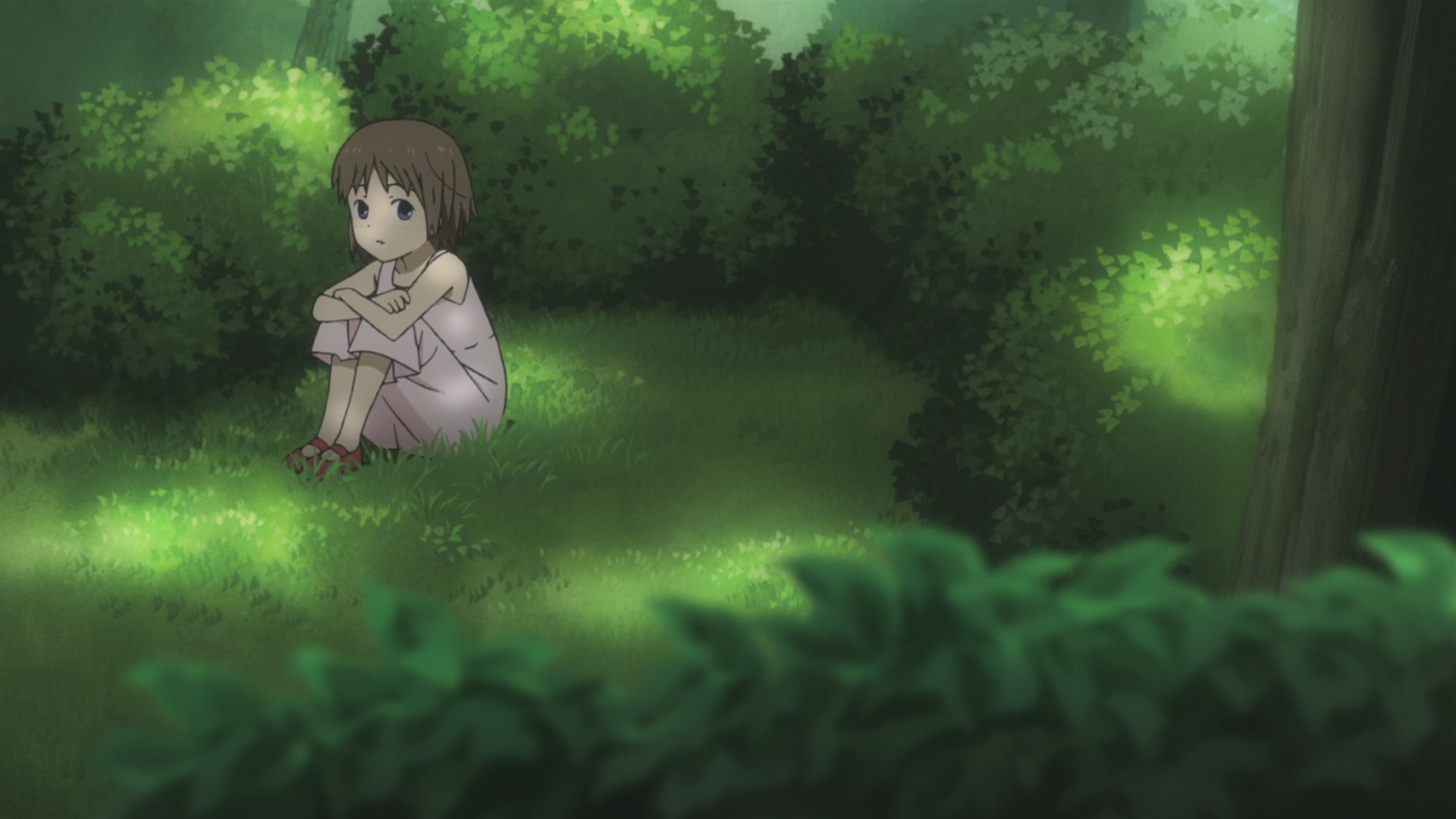 В лес, где мерцают светлячки (2011)