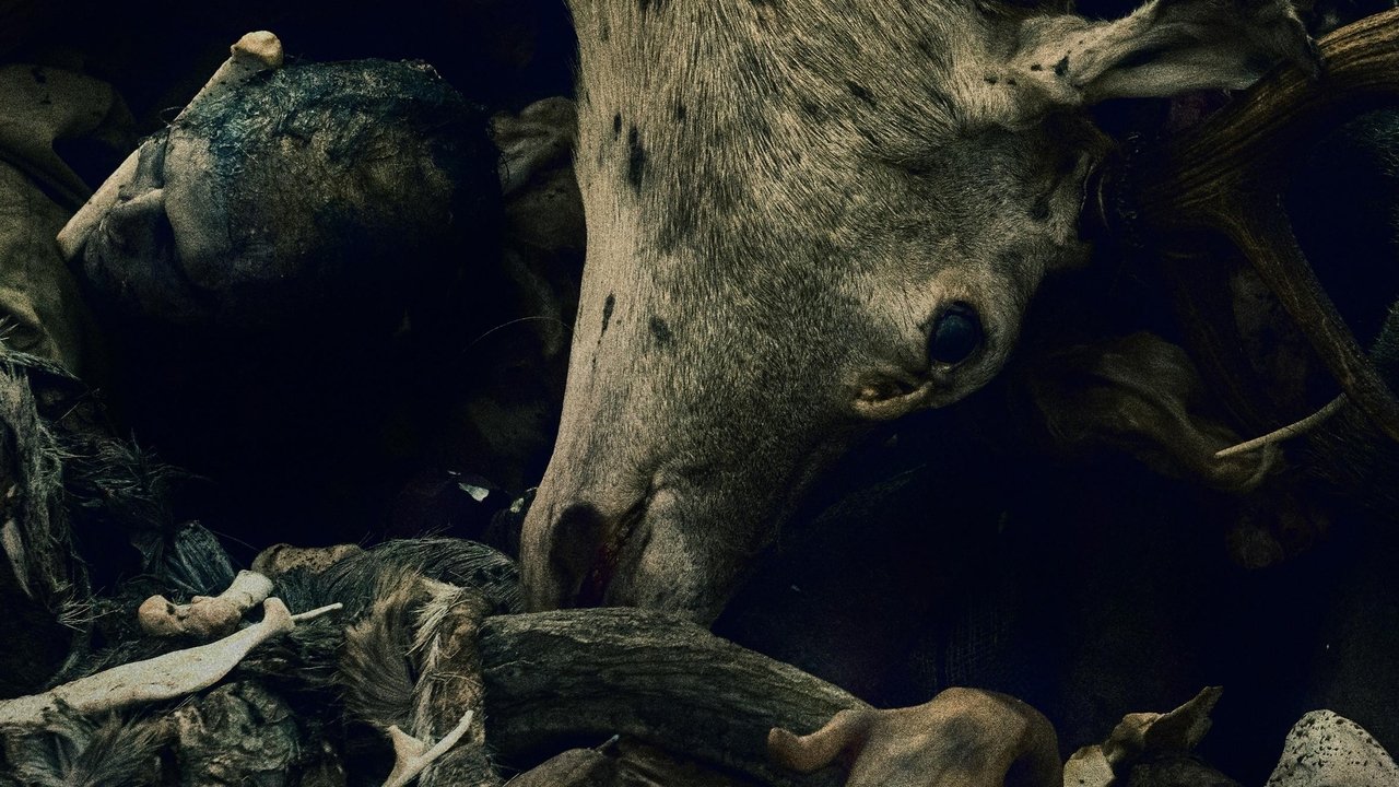 Одербрух (2024)