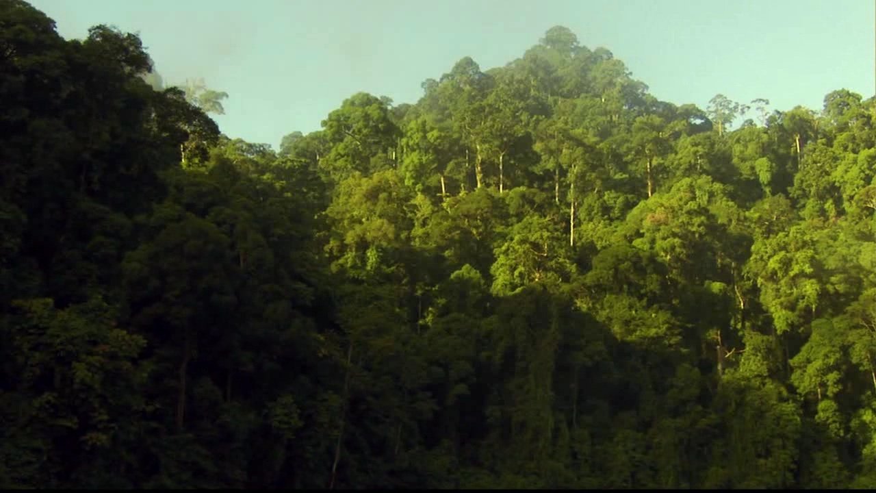 Экватор (2006)