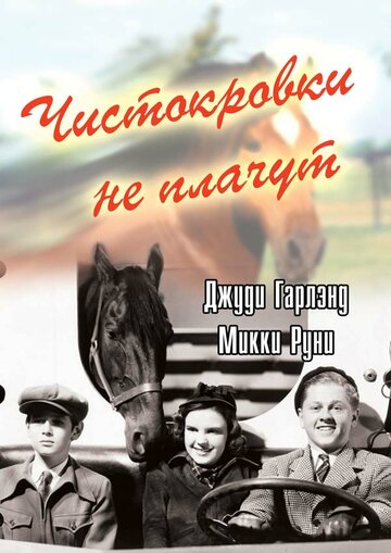 Постер Трейлер фильма Чистокровки не плачут 1937 онлайн бесплатно в хорошем качестве