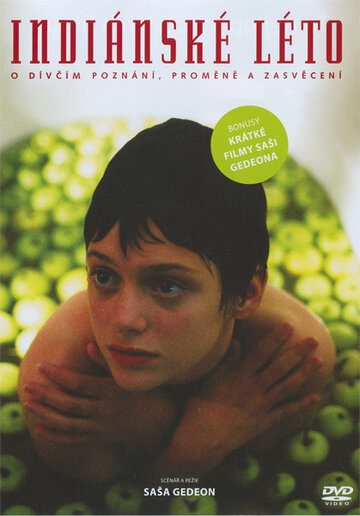 Смотреть Индейское лето на хдрезка онлайн в HD качестве 720p