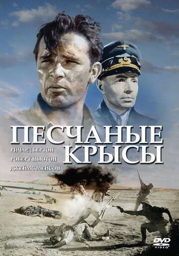 Постер Трейлер фильма Песчаные крысы 1953 онлайн бесплатно в хорошем качестве