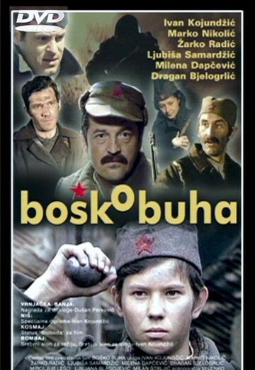 Постер Трейлер фильма Бошко Буха 1978 онлайн бесплатно в хорошем качестве