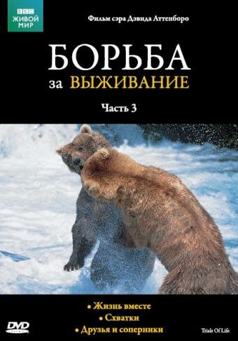 Постер Смотреть сериал BBC: Борьба за выживание 1990 онлайн бесплатно в хорошем качестве