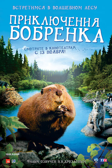 Постер Трейлер фильма Приключения бобрёнка 2008 онлайн бесплатно в хорошем качестве