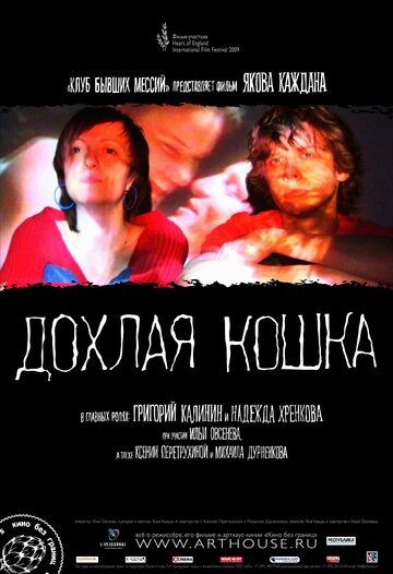 Постер Смотреть фильм Дохлая кошка 2008 онлайн бесплатно в хорошем качестве