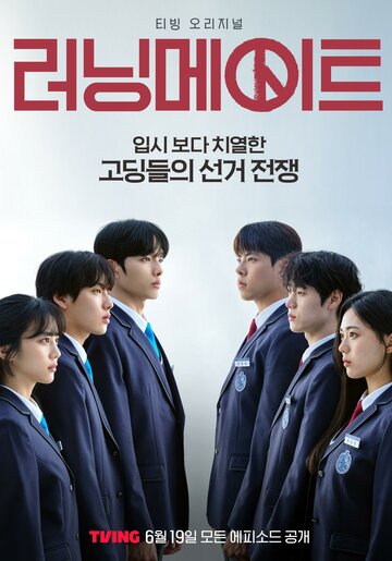 Напарник на выборах (2025)