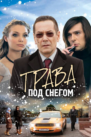 Постер Смотреть сериал Трава под снегом 2010 онлайн бесплатно в хорошем качестве