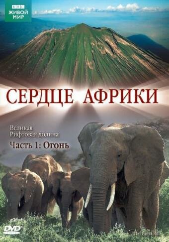 Постер Трейлер сериала BBC: Сердце Африки 2010 онлайн бесплатно в хорошем качестве