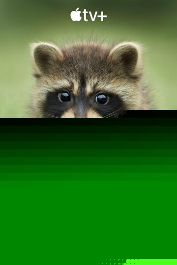 Тайная жизнь животных (2024)