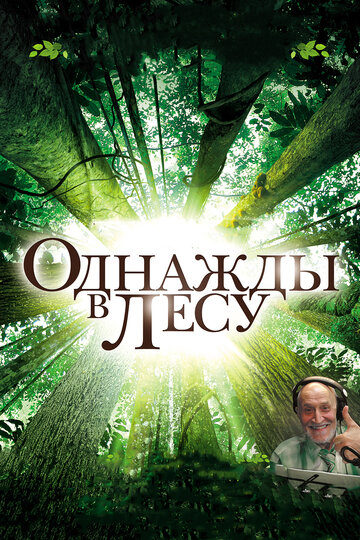 Постер Трейлер фильма Однажды в лесу 2013 онлайн бесплатно в хорошем качестве