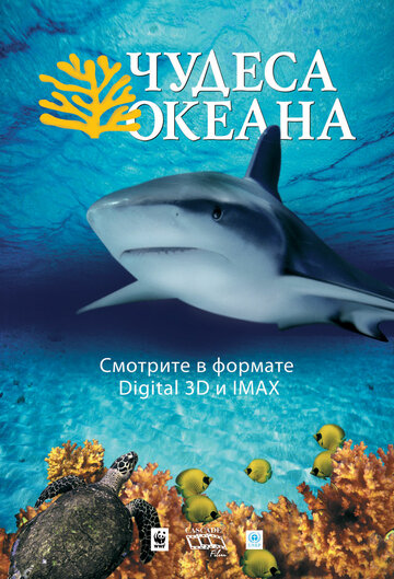 Постер Трейлер фильма Чудеса океана 3D 2003 онлайн бесплатно в хорошем качестве