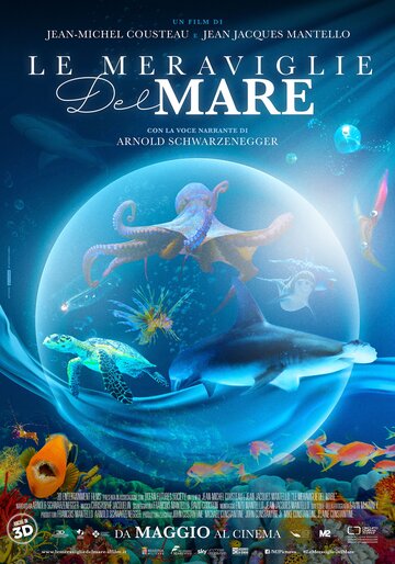 Смотреть Чудеса моря в 3D на хдрезка онлайн в HD качестве 720p