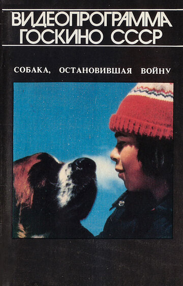 Постер Трейлер фильма Собака, остановившая войну 1984 онлайн бесплатно в хорошем качестве