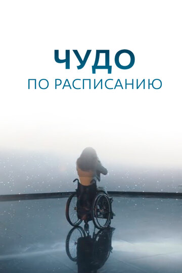 Постер Трейлер сериала Чудо по расписанию 2016 онлайн бесплатно в хорошем качестве