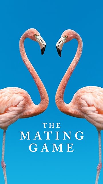 BBC. Брачная Игра (2021)