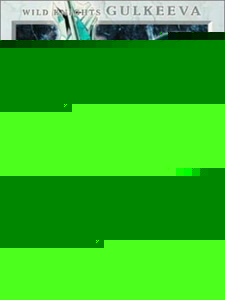 Смотреть Воин Гулкэва на хдрезка онлайн в HD качестве 720p