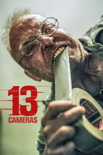 13 камер (2015)