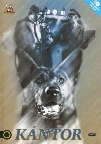 Смотреть Кантор - собака-детектив на хдрезка онлайн в HD качестве 720p