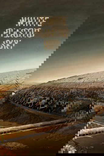Белое пластиковое небо (2023)